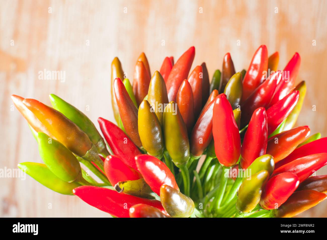 mazzo di peperoncino su fondo di legno Foto Stock