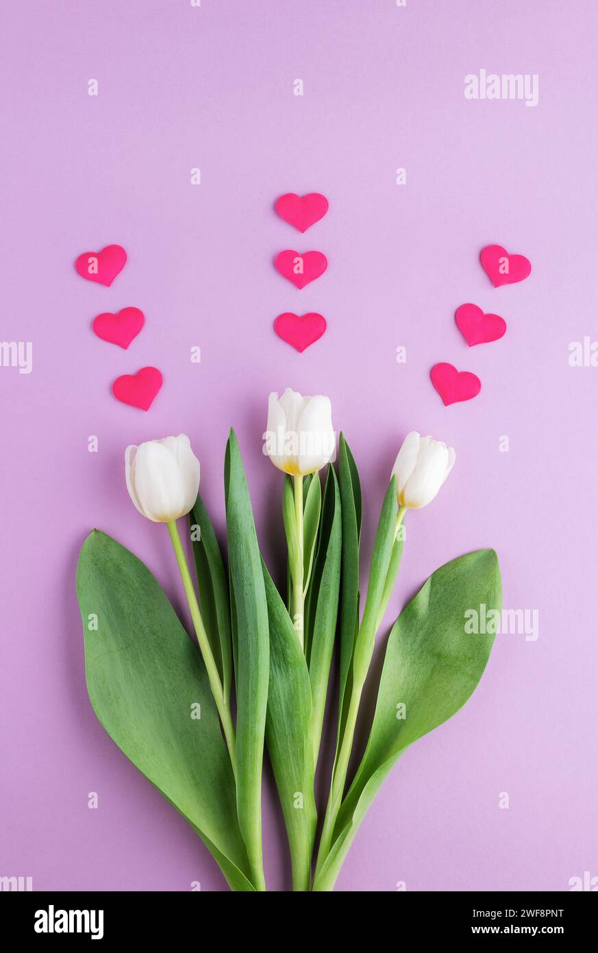 Set di tre tulipani bianchi con cuori su sfondo rosa. Foto Stock