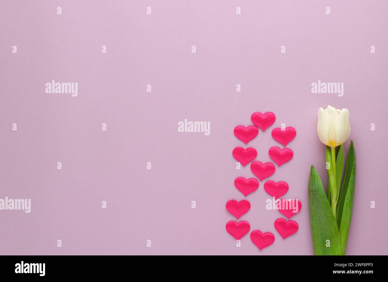 8 marzo, giornata internazionale della donna, figura otto realizzata con cuori e tulipano su sfondo rosa. Foto Stock