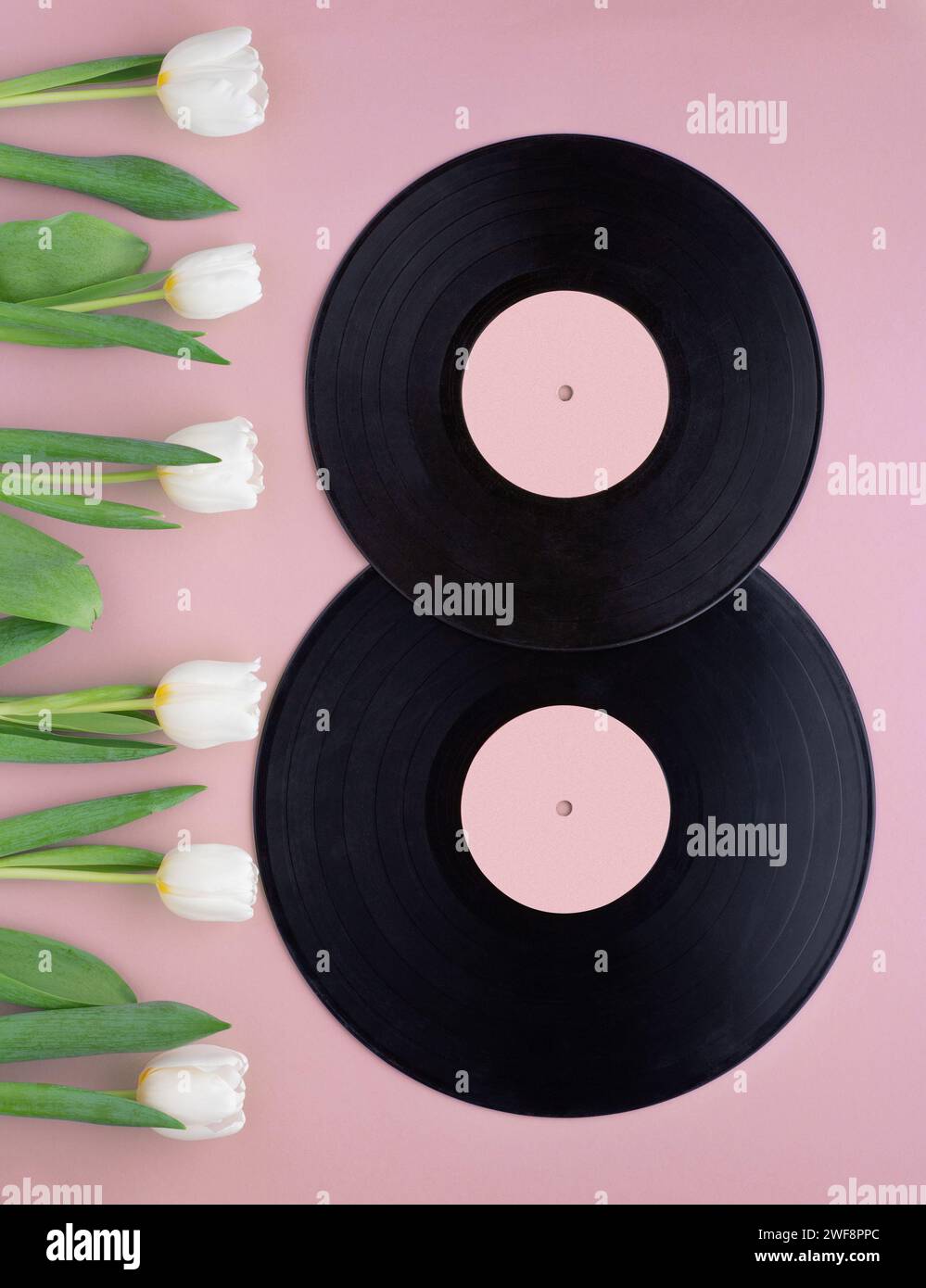 Figura otto realizzata con dischi in vinile vintage e tulipani bianchi su sfondo rosa. Foto Stock