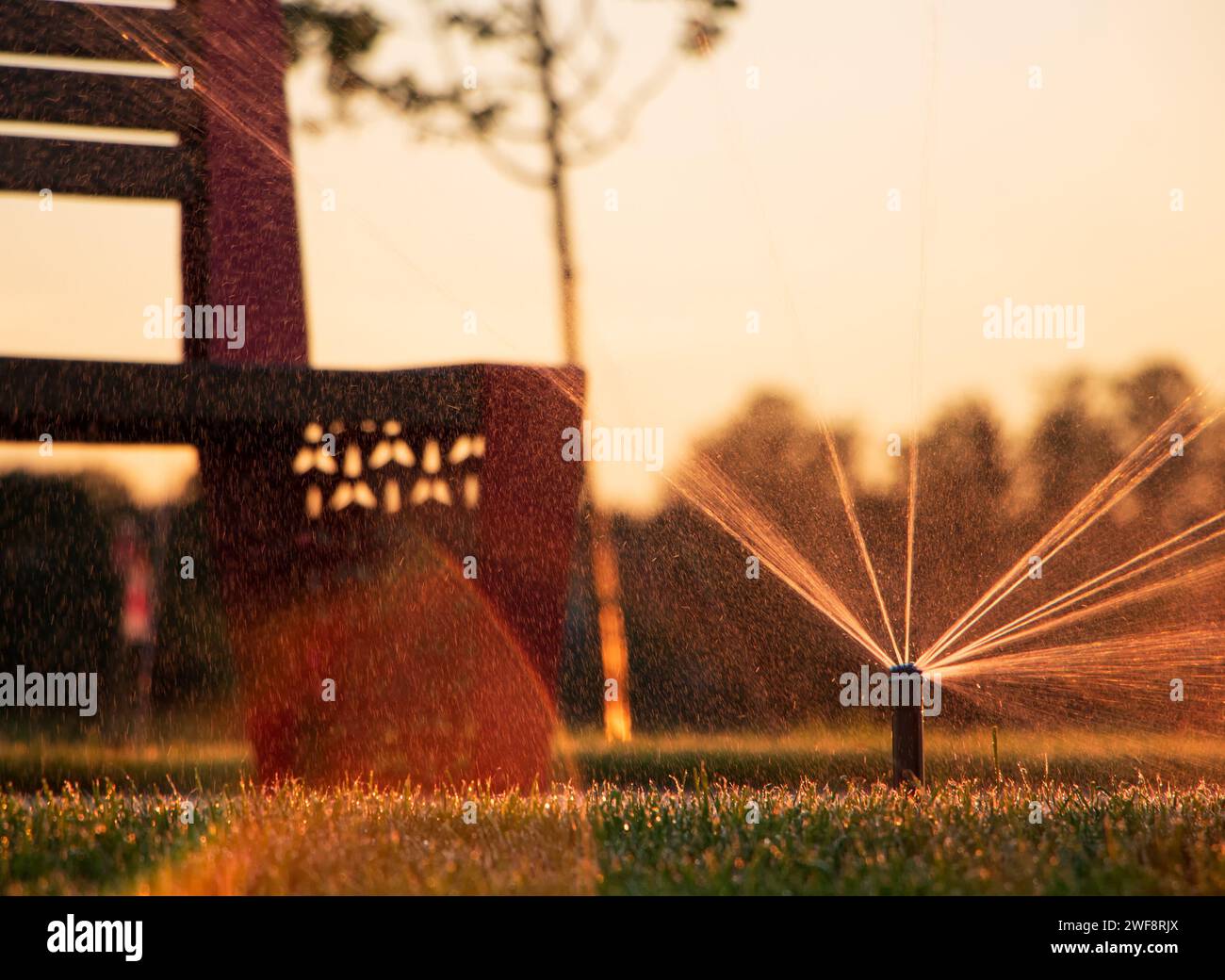 Il sistema di innaffiare automaticamente il prato nel parco al tramonto. Sistema di irrigazione. Foto Stock