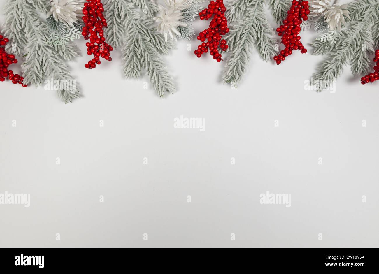 Composizione natalizia, rami di abete, fiori bianchi, bacche rosse su sfondo bianco. Natale, Capodanno, inverno. Foto Stock