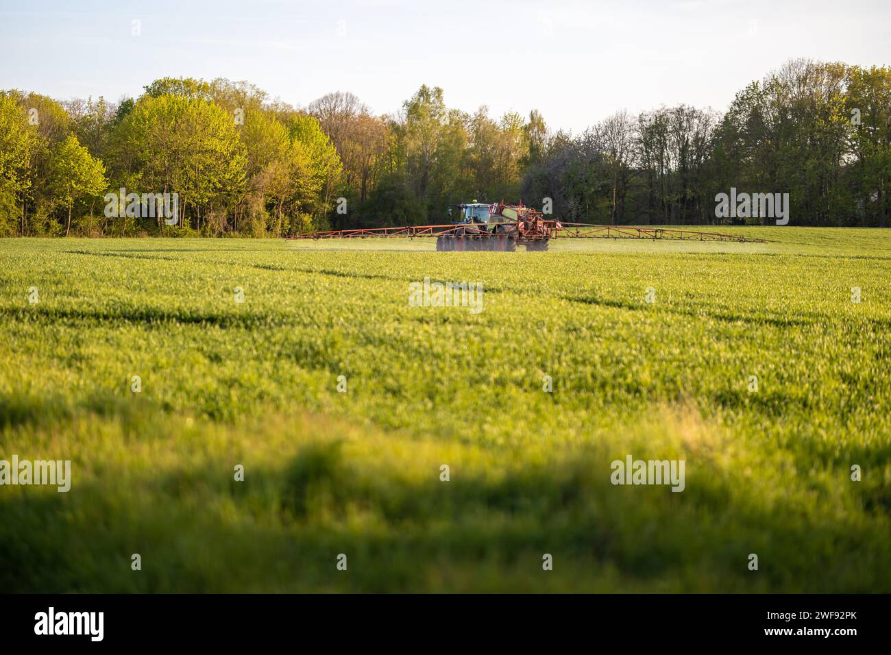 MIT Traktor den Acker düngen Foto Stock