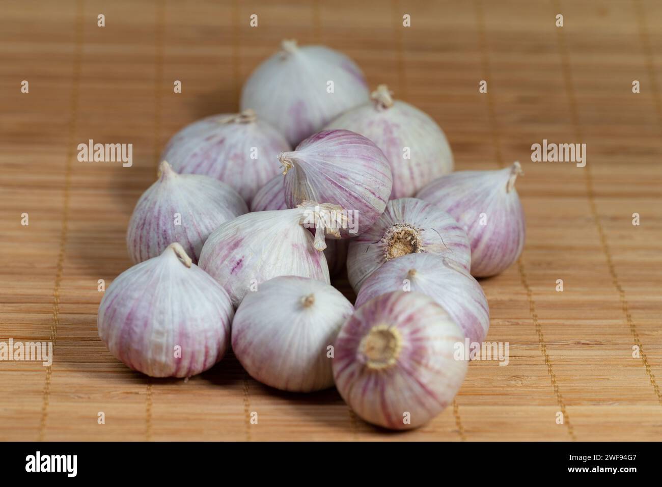 Solo aglio in un primo piano Foto Stock