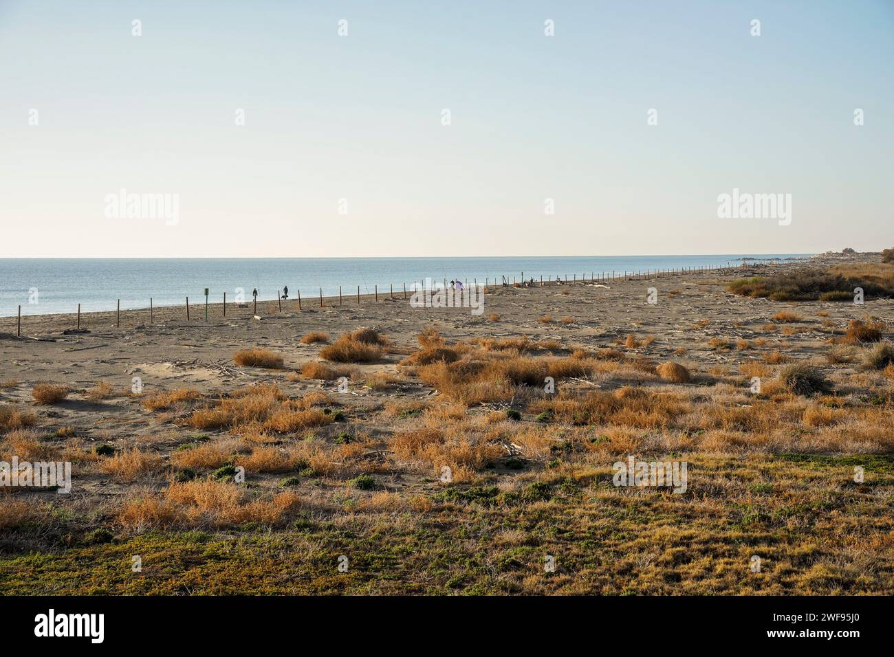 Spiaggia, aree protette per la riproduzione di uccelli, riserva naturale dell'estuario del Parco naturale Guadalhorce. Andalusia, Malaga, Spagna. Foto Stock