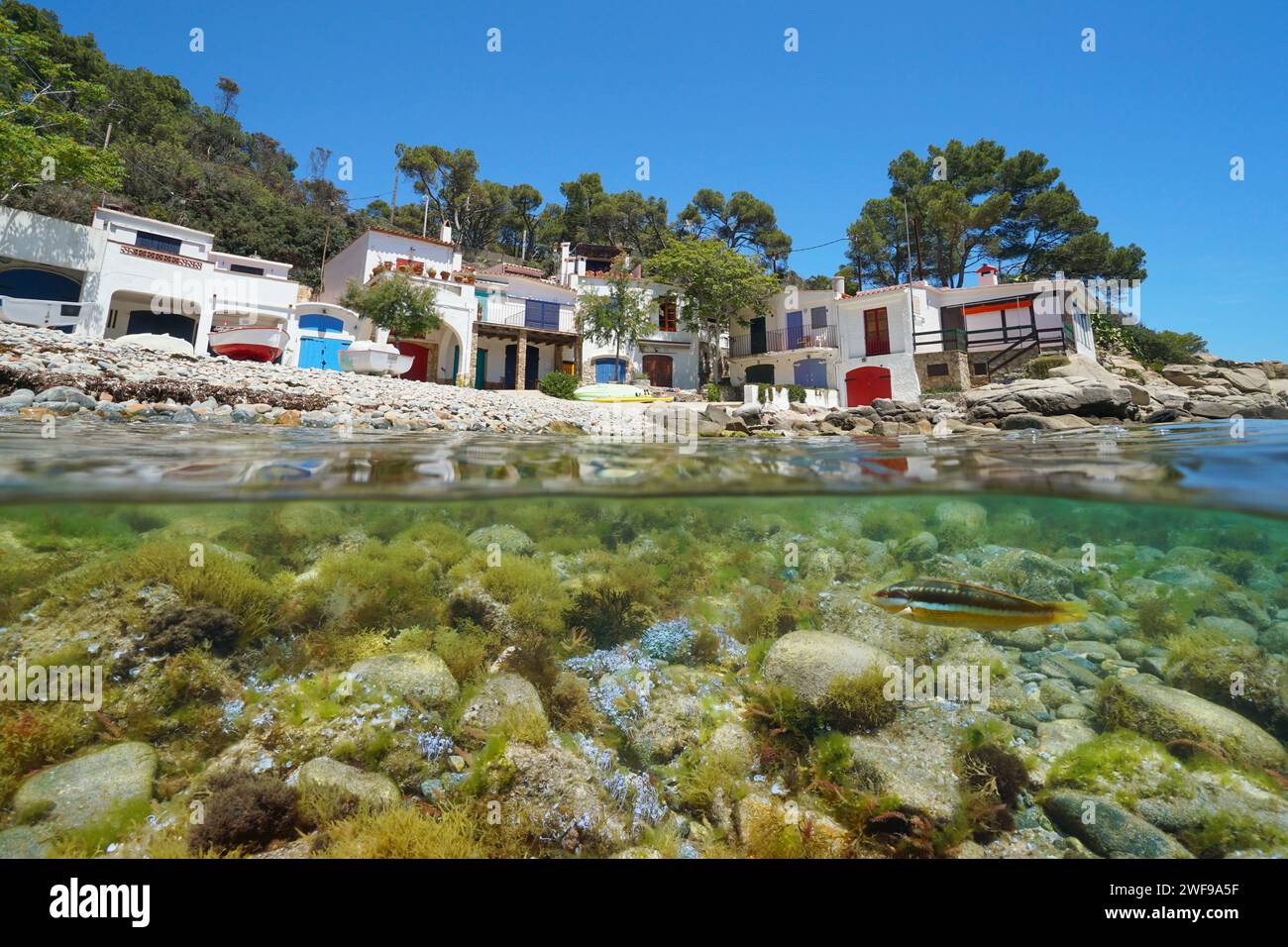 Spagna, case di pescatori mediterranee sulla riva del mare di una spiaggia rocciosa, vista a metà sopra e sotto la superficie dell'acqua, scenario naturale, Costa Brava Foto Stock
