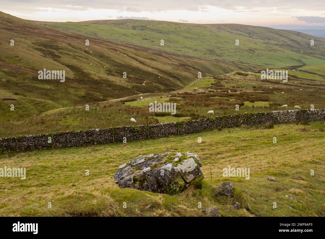 Il Settle Loop è un percorso circolare di 16 km che può essere iniziato e terminato in Settle o Unito da aree circostanti come Malham e Stainforth. Foto Stock