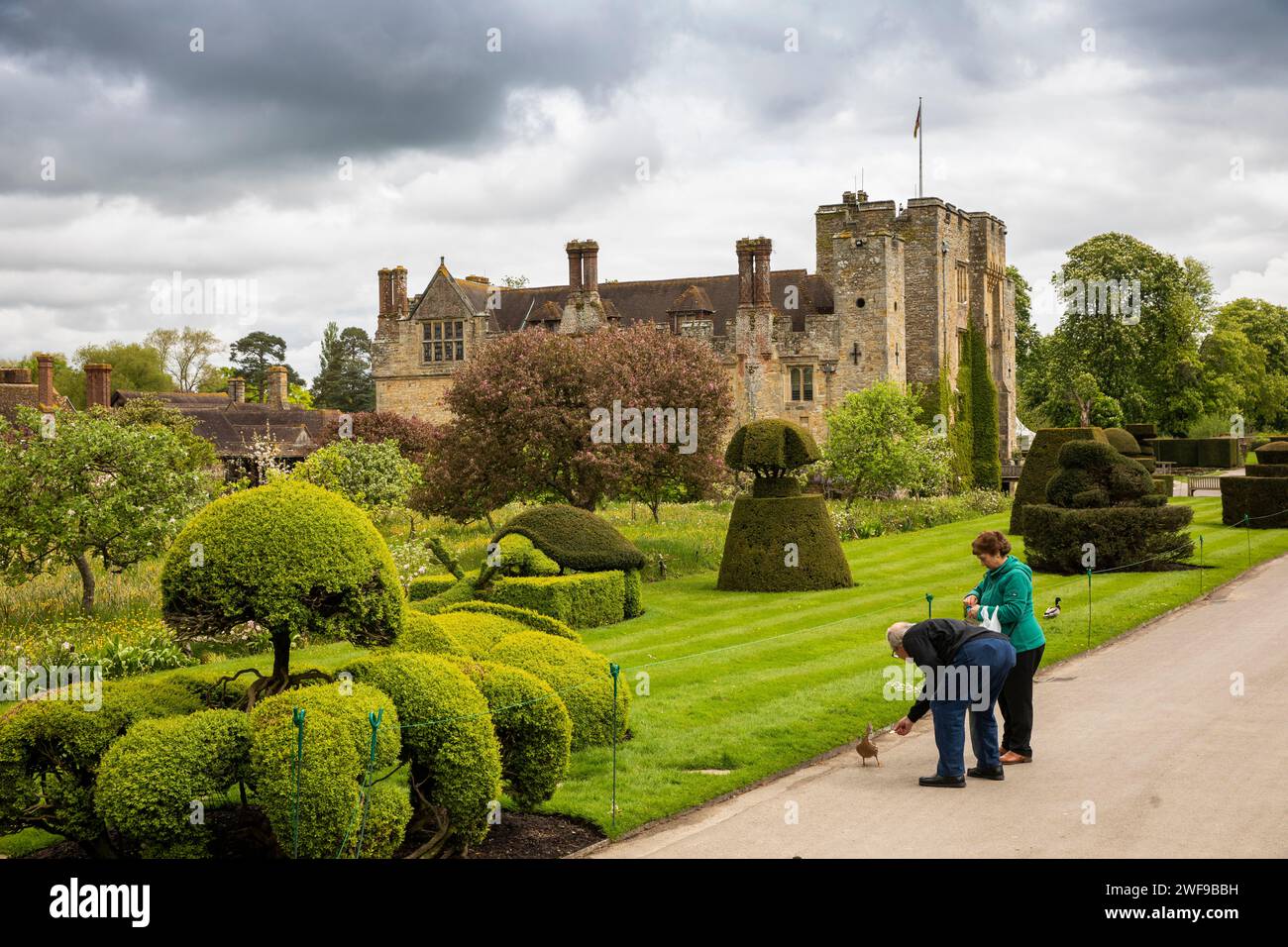 Regno Unito, Inghilterra Kent, Hever, Hever Castle, visitatori che danno da mangiare all'anatra Foto Stock