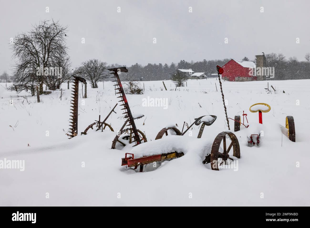 Vecchio rasaerba per fieno trainato da cavalli in una fattoria Amish in inverno nella contea di Mecosta, Michigan, Stati Uniti [nessun rilascio di proprietà; solo licenze editoriali] Foto Stock