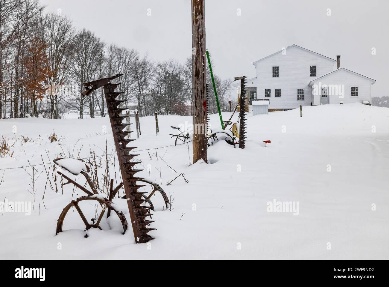 Vecchio rasaerba per fieno trainato da cavalli in una fattoria Amish in inverno nella contea di Mecosta, Michigan, Stati Uniti [nessun rilascio di proprietà; solo licenze editoriali] Foto Stock