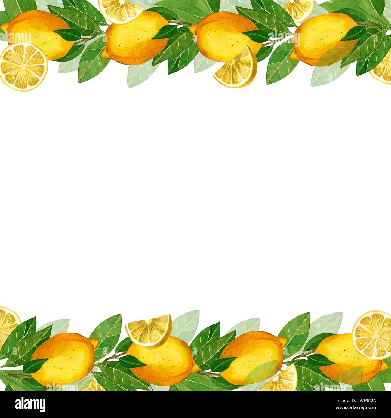 Lemon. Cornice quadrata con limoni gialli e foglie verdi, fette di limone. Tutti gli elementi sono dipinti a mano con acquerelli. Per la stampa su tessuto Foto Stock