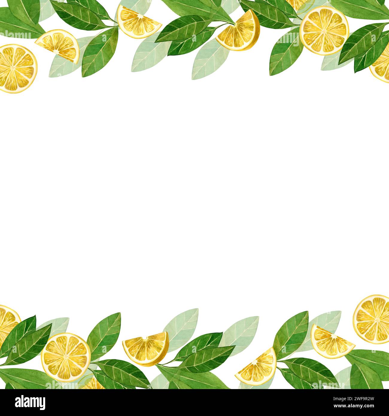 Illustrazione acquerello. Cornice quadrata con fette e fette di limone e foglie verdi. Tutti gli elementi sono dipinti a mano con acquerelli. Per la stampa Foto Stock