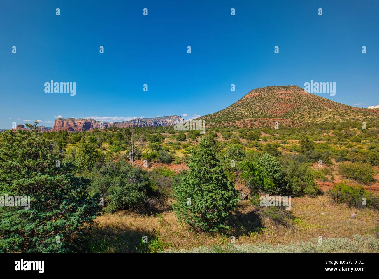 Montagna in lontananza, adornata da lussureggianti alberi, cespugli e arbusti Foto Stock
