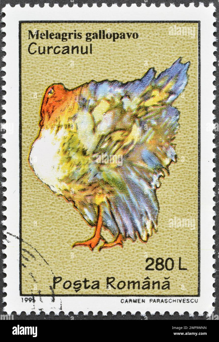 Francobollo cancellato stampato dalla Romania, che mostra la Turchia addomesticata (Meleagris gallopavo), intorno al 1995. Foto Stock