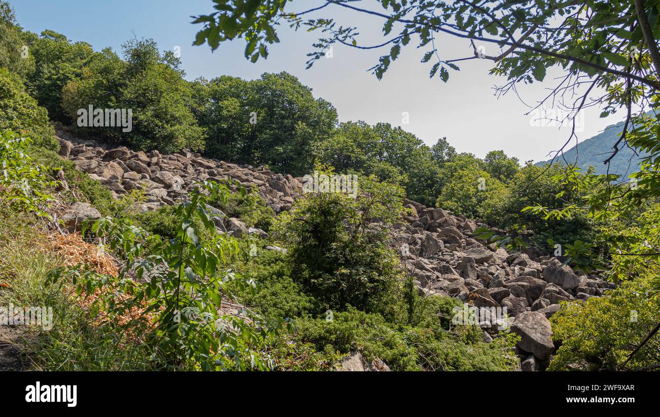Collina rocciosa con lussureggiante vegetazione verde sotto il cielo azzurro Foto Stock