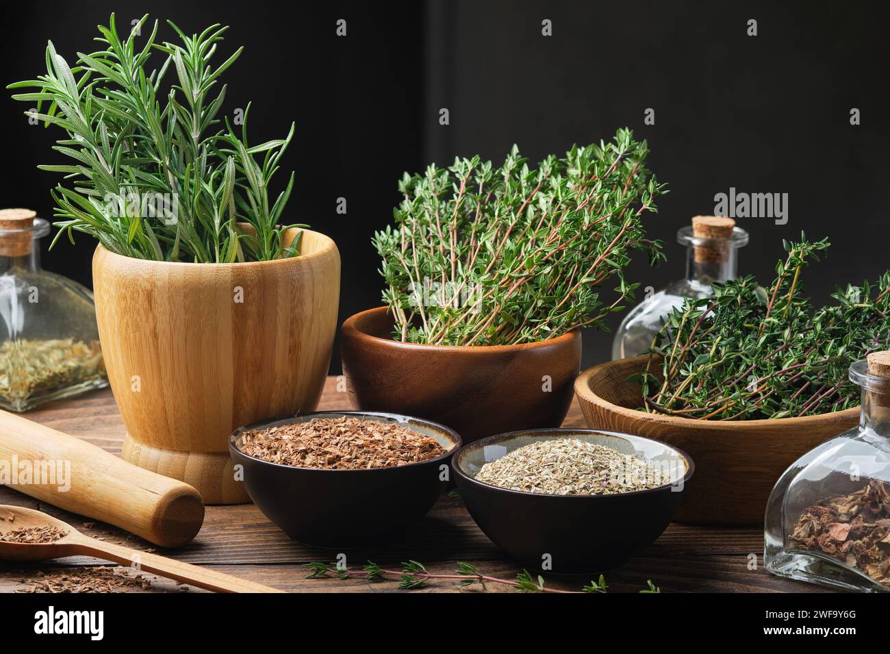 Ciotole di diverse piante curative secche ed erbe medicinali verdi fresche - rosmarino e timo. Bottiglie di erbe medicinali secche per la preparazione di tinture o infu Foto Stock