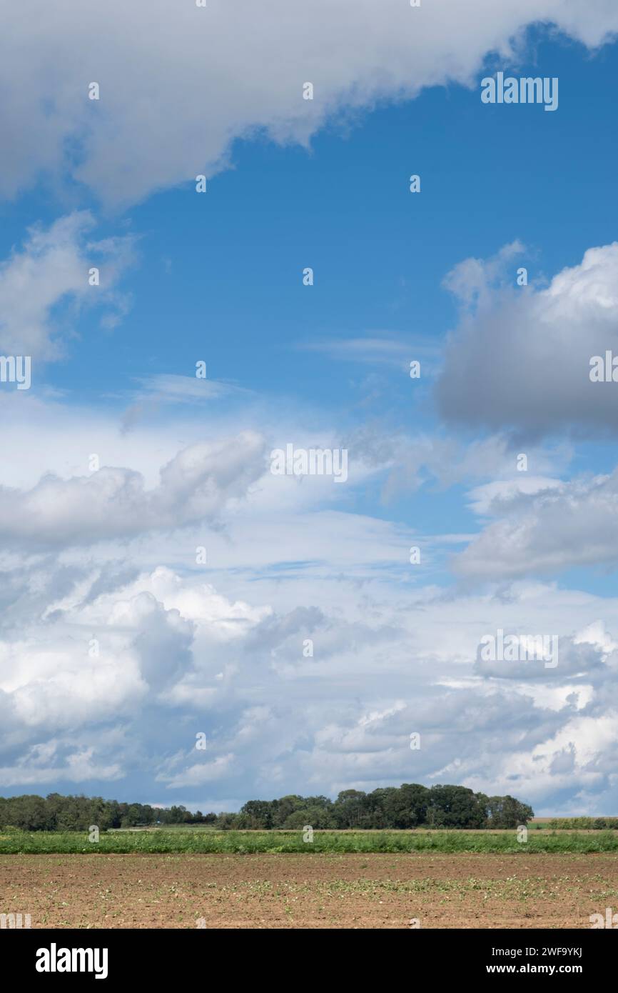 Paesaggio intorno al cimitero di Auvers sur Oise, in Francia, dove impressionisti di fama mondiale come Vincent Van Gogh trascorsero parte della sua vita Foto Stock
