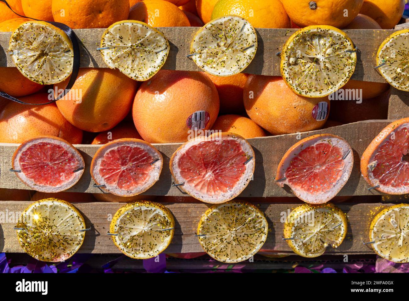 Primo piano degli agrumi a fette e delle arance intere in parata nel 92° Annual Texas Citrus Fiesta Parade of Oranges, 2024, Mission, Texas, USA. Foto Stock