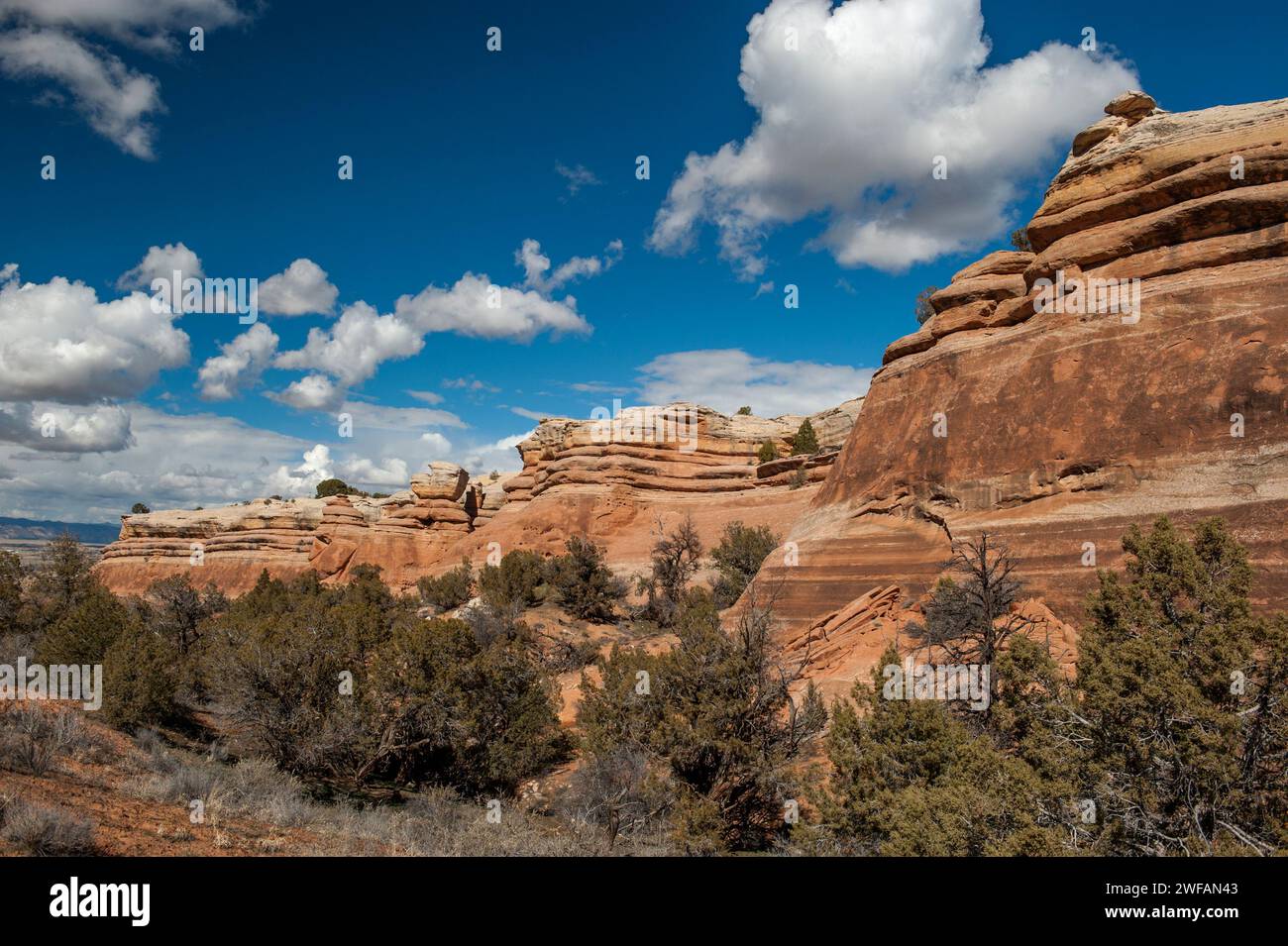 Pareti rosse del canyon di arenaria Entrada ai margini del devil's Canyon vicino a Fruita, Colorado Foto Stock