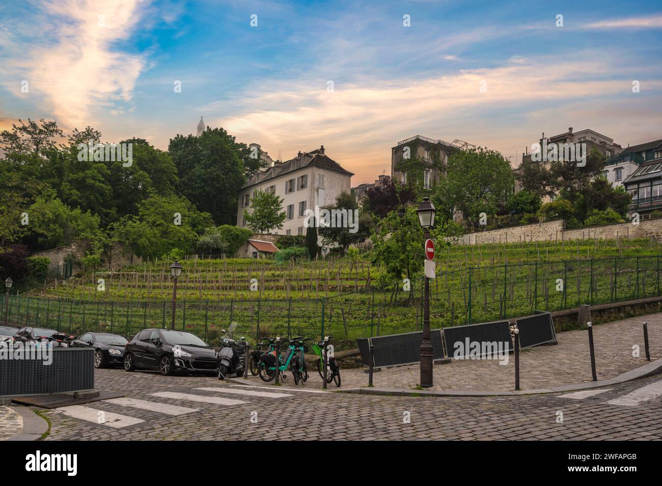 Parigi Francia, skyline della città presso i vigneti di Montmartre Street Foto Stock