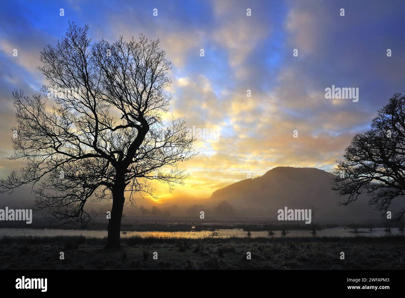 Misty tramonto con il profilarsi di alberi e lontana collina su un pomeriggio invernale vicino a Killin, Perthshire, Scotland, Regno Unito Foto Stock