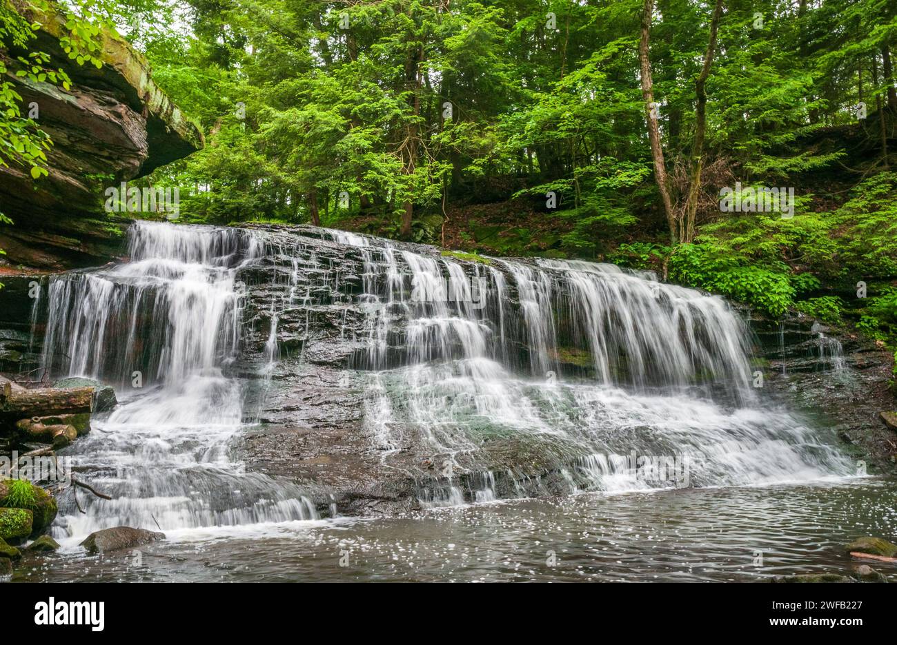 Le cascate Springfield nella contea di Mercer, Pennsylvania, Stati Uniti Foto Stock