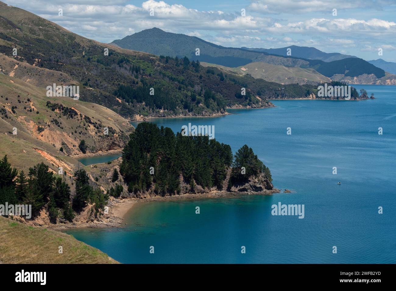 Vista panoramica, vicino al French Pass, Marlborough Sounds, South Island, nuova Zelanda Foto Stock