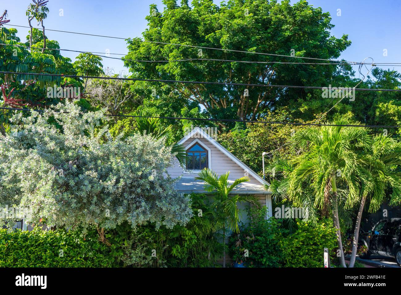 Key West Housefront con gli alberi Foto Stock