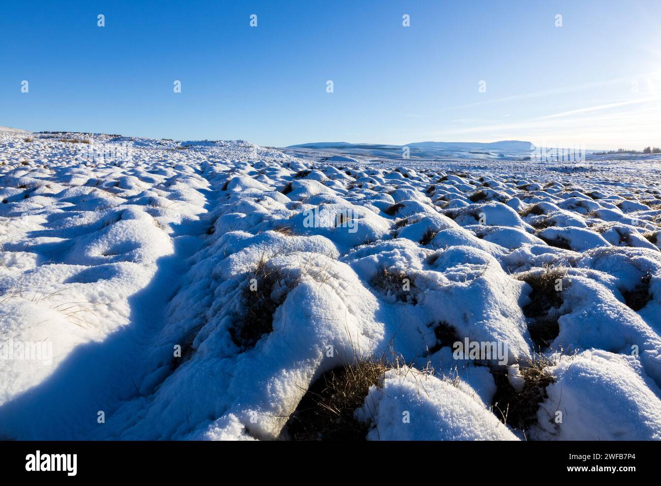 Yorkshire Dales nella neve, con una vista lontana di Pen-y-gand che si innalza sopra il paesaggio ghiacciato. Preso in una giornata di sole con cielo azzurro e senza nuvole. Foto Stock