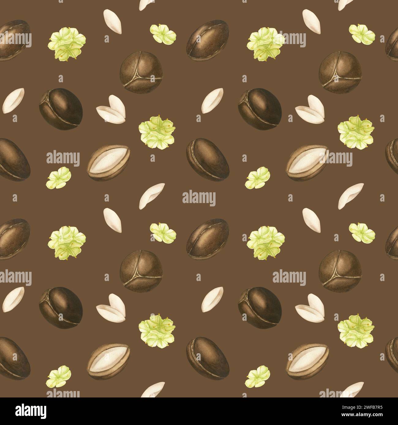 Schema senza cuciture di argan noci, frutti, semi e fiori su sfondo marrone. Illustrazione acquerello. Centro benessere, cosmetologia, cura del corpo e dei capelli Foto Stock