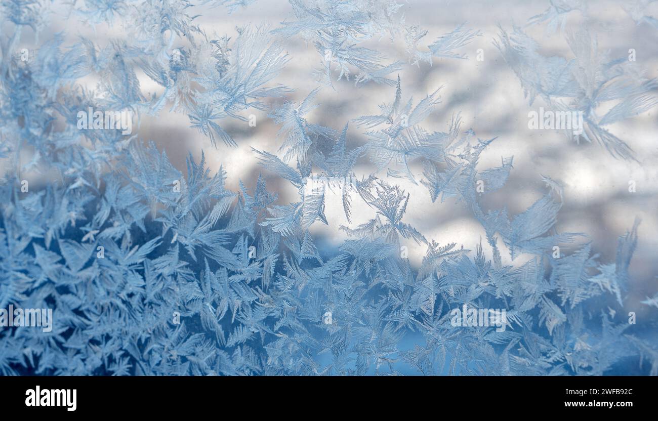 Squisiti motivi di gelo che creano un design simile a un pizzo su una finestra, catturando l'essenza del tocco invernale. Foto Stock