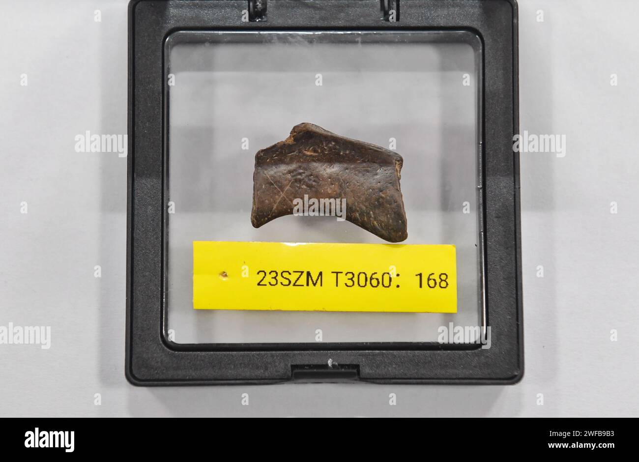 (240130) -- ZIYANG, 30 gennaio 2024 (Xinhua) -- questa foto scattata il 5 dicembre 2023 mostra uno strumento osseo con un segno "X" intagliato, scoperto nel sito Mengxihe nella contea di Lezhi di Ziyang, nella provincia del Sichuan della Cina sud-occidentale. Il sito di Mengxihe è stato annunciato come uno dei sei più importanti reperti archeologici del 2023 in Cina martedì, secondo l'Istituto Provinciale di Sichuan di reliquie culturali e archeologia. Il sito di Mengxihe, risalente a 50.000 - 70.000 anni fa, ha conservato una serie di resti di materia organica tra cui fossili animali, ebano e semi di piante. Un'inondazione nell'estate del 2 Foto Stock