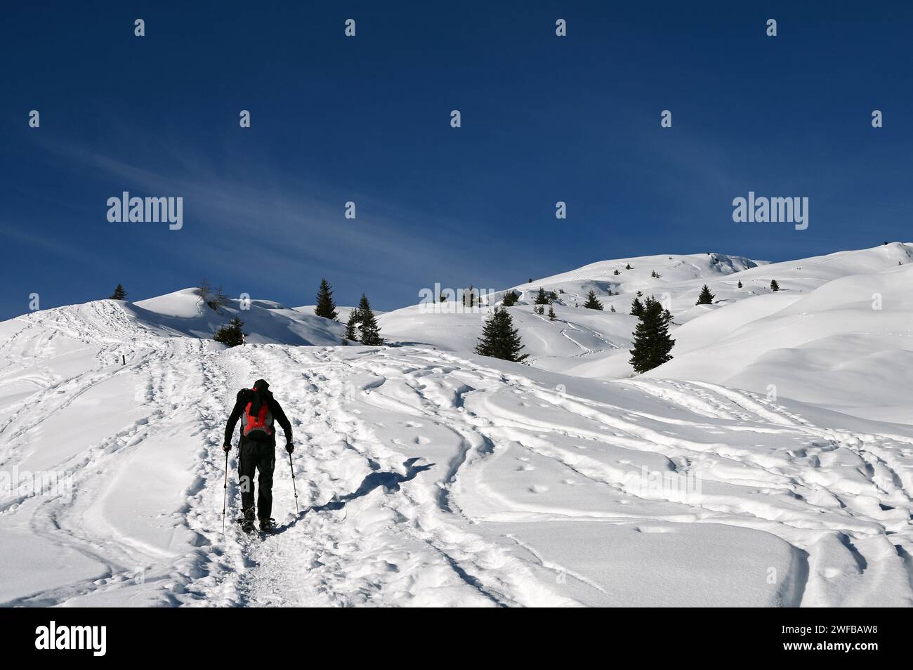 Schneeschuh Wandern im Naturpark Beverin, Graubünden, Schweiz Foto Stock
