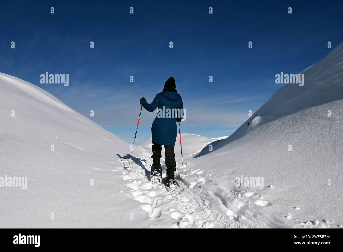 Schneeschuh Wandern im Naturpark Beverin, Graubünden, Schweiz Foto Stock