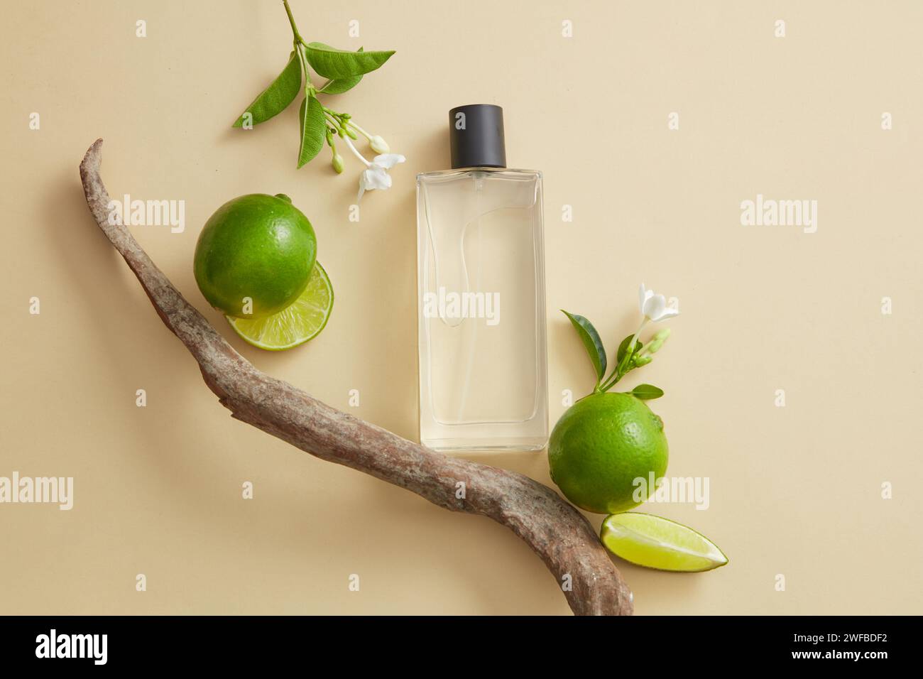 Un ramo d'albero con spray nebulizzato trasparente riempito di liquido all'interno, esposto con fette di lime e fiori. Spazio vuoto per prodotti di bellezza naturale di Foto Stock