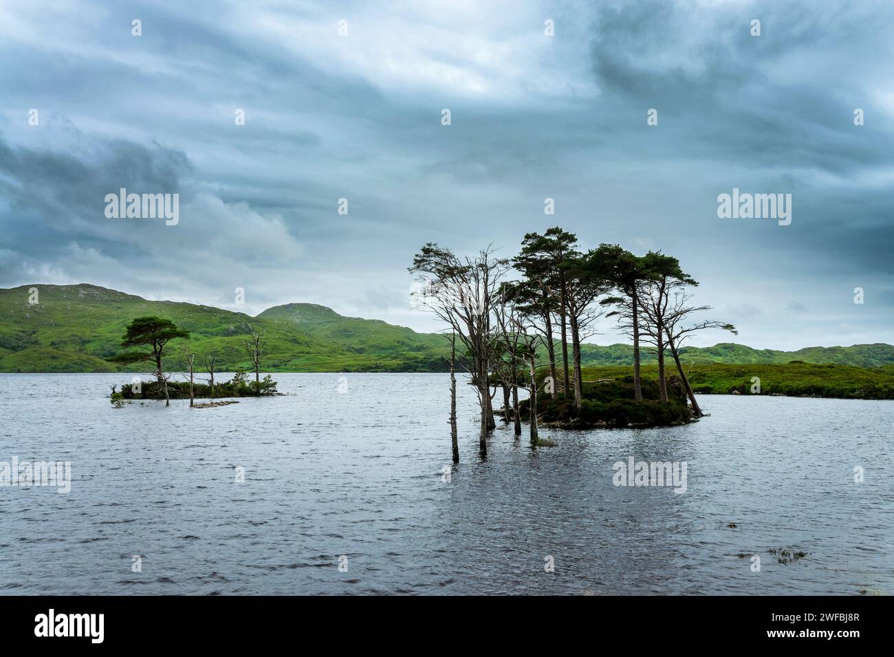 Piccola isola su Loch Assynt nelle Highlands nord-occidentali, Scozia, Regno Unito Foto Stock