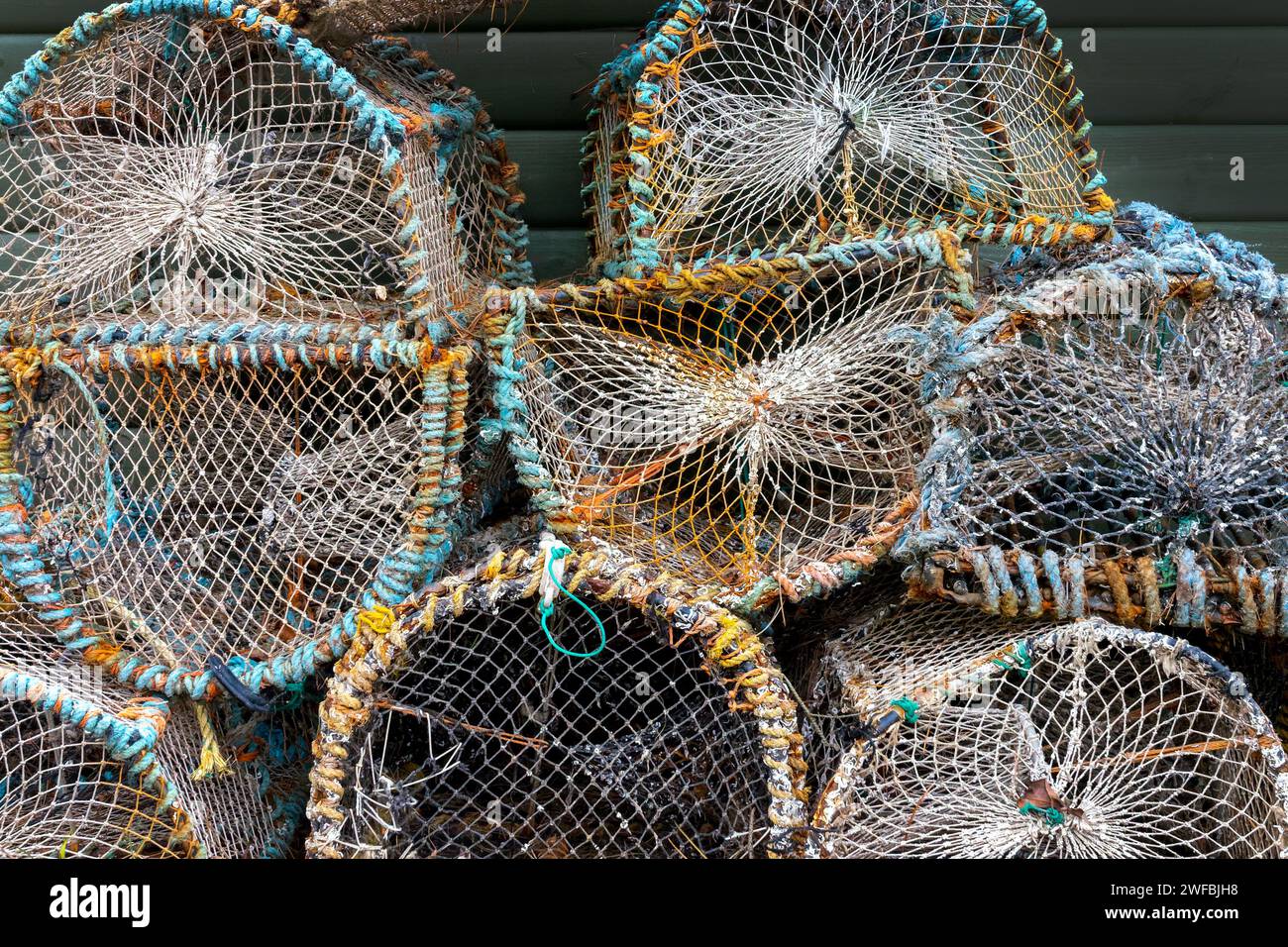 Primo piano delle trappole di aragosta iin Scozia, Regno Unito Foto Stock
