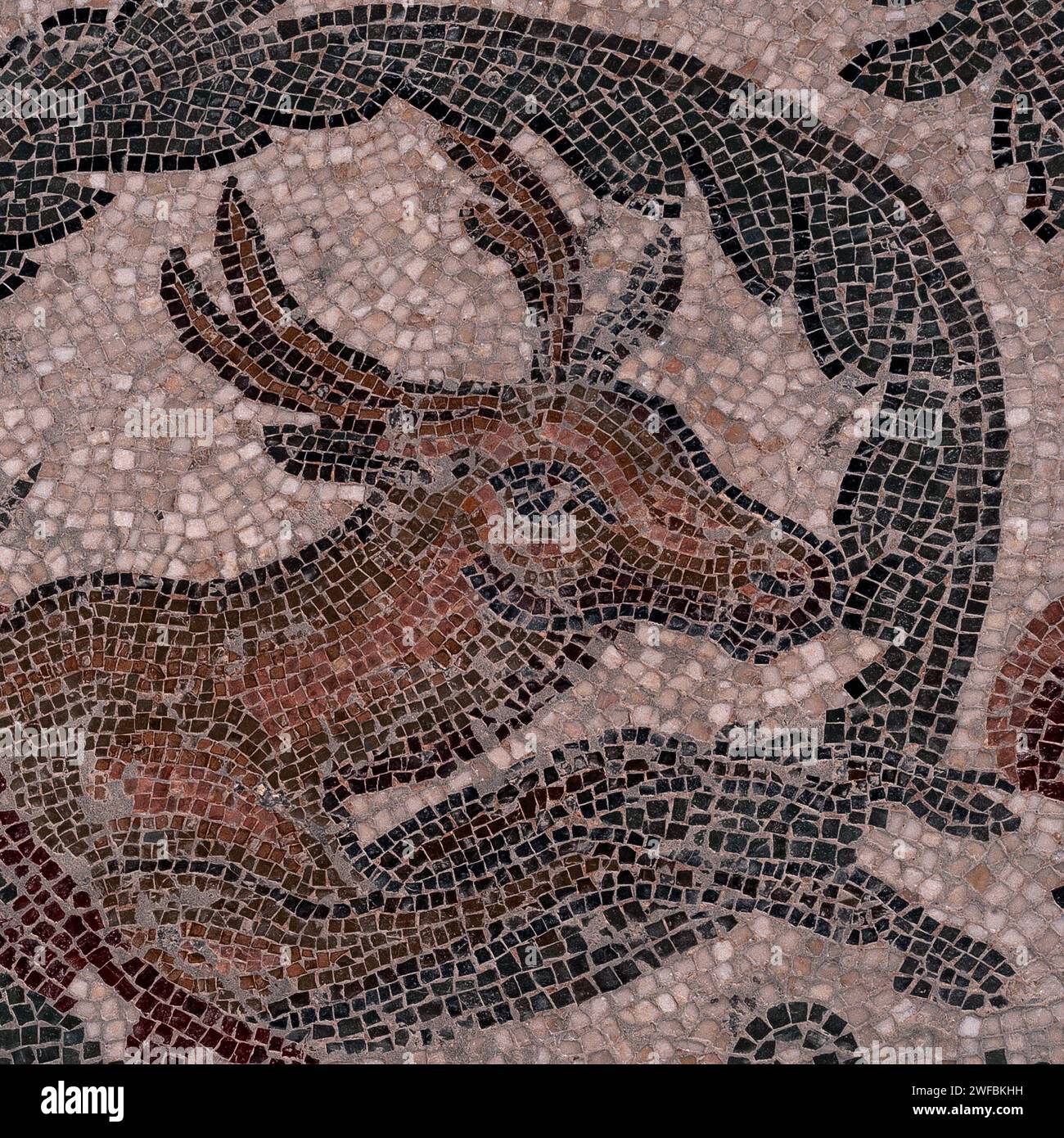 Antilope a quattro corna, originaria dell'India. Particolare del mosaico del pavimento tardo romano in peristilio adiacente al triclinio (sala da pranzo) a Villa Romana del Casale, Piazza Armerina, Sicilia, Italia. Foto Stock