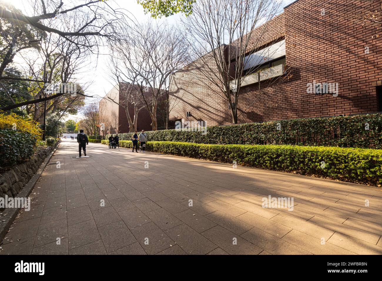 Tokyio, Giappone. Gennaio 2024. Vista panoramica delle persone che camminano in un vicolo del Parco di Ueno in inverno Foto Stock