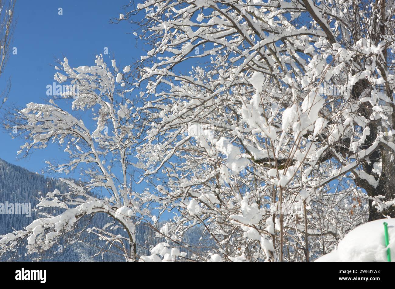 case di campagna durante la stagione invernale Foto Stock