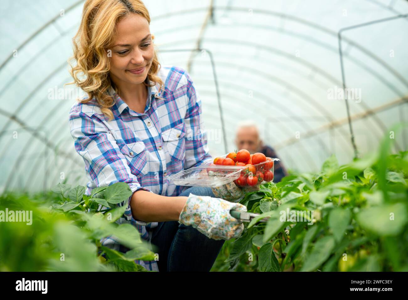 Ritratto di una giovane e felice giardiniera che lavora nell'orto biologico della serra. Foto Stock