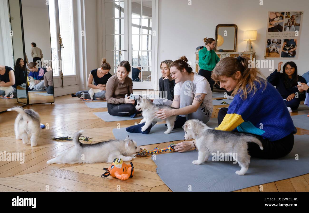 PUPPPY YOGA PARIS Foto Stock