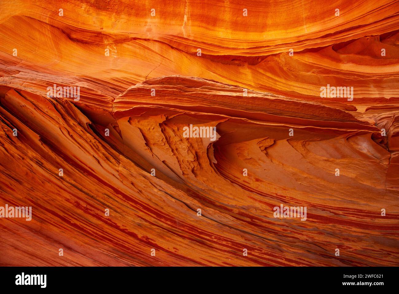 Pinne di arenaria molto sottili e fragili nelle formazioni di arenaria Navajo. South Coyote Buttes, Vermilion Cliffs National Monument, Arizona. Geologicamente, il Foto Stock