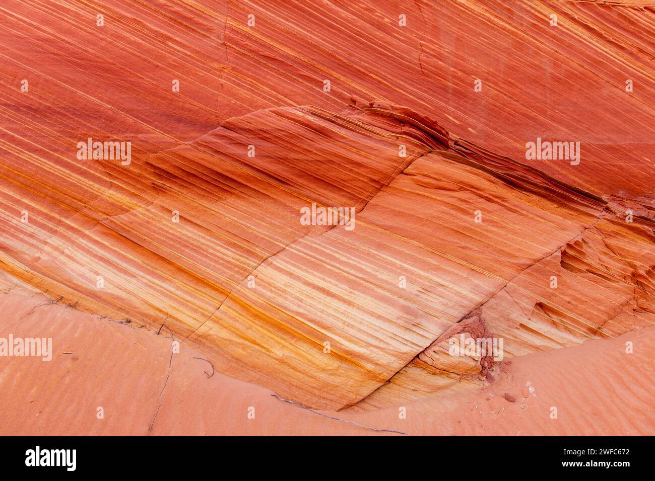 Motivi colorati nell'arenaria Navajo a South Coyote Buttes, Vermilion Cliffs National Monument, Arizona. Foto Stock