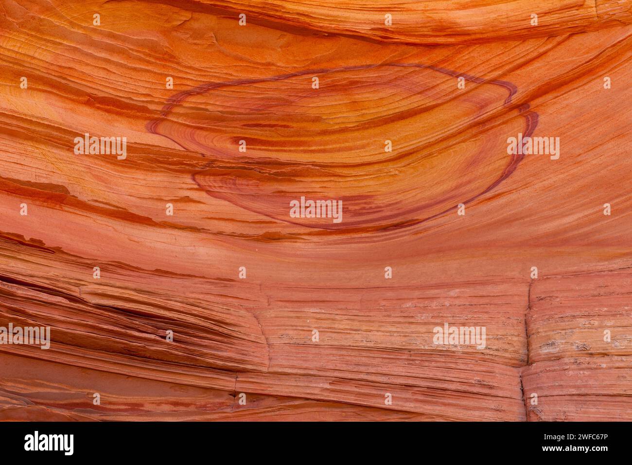 Modelli di letti incrociati nell'arenaria Navajo a South Coyote Buttes, Vermilion Cliffs National Monument, Arizona. Foto Stock