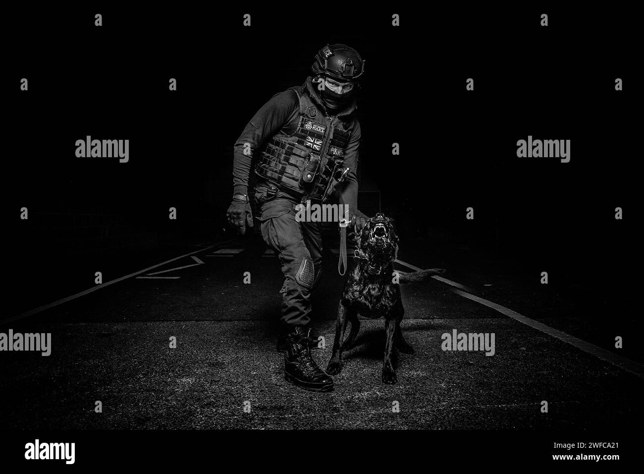 Portacani della polizia britannica vestito con kit di armi da fuoco con un cane di supporto aggressivo che guarda la fotocamera Foto Stock