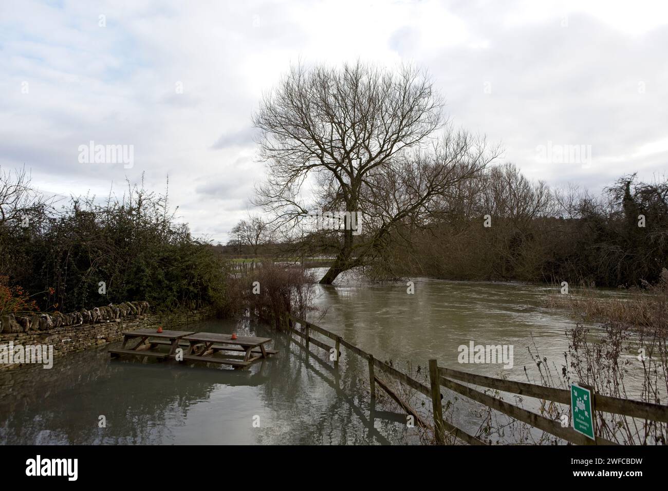 River Windrush ha inondato il pub Gardem Foto Stock