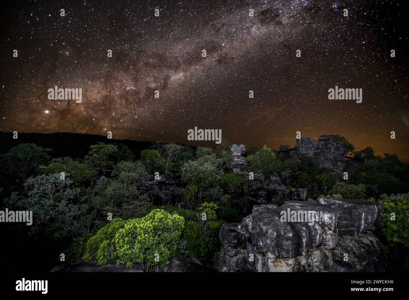 Stelle della via Lattea nel Parco Nazionale Chapada dos Veadeiros - Foto Stock