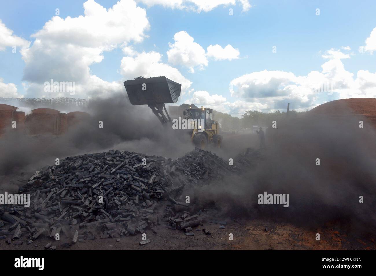 Produzione di carbone con legname di eucalipto per l'industria della ghisa suina - dettaglio di carico - alto Jequitinhonha Foto Stock