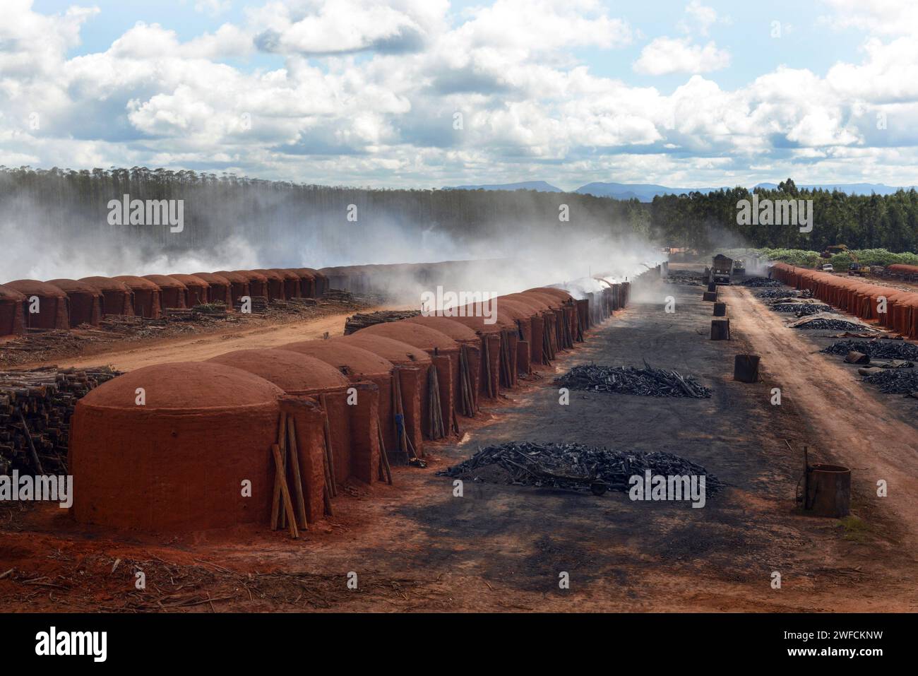 Produzione di carbone con legno di eucalipto per l'industria della ghisa suina - piantagione di eucalipto sullo sfondo - alto Jequitinhonha Foto Stock